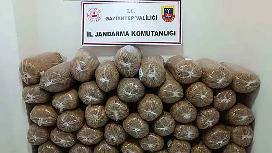 Jandarmadan 'yılbaşı' denetimi