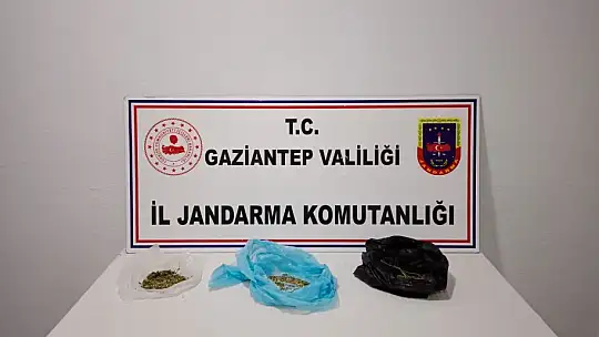 Jandarmadan dev operasyon: 57 gözaltı