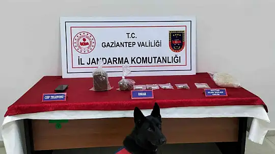 Jandarmadan dev operasyon: 57 gözaltı