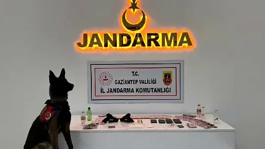 Jandarmadan kaçakçılık ve uyuşturucu operasyonu: 22 tutuklama