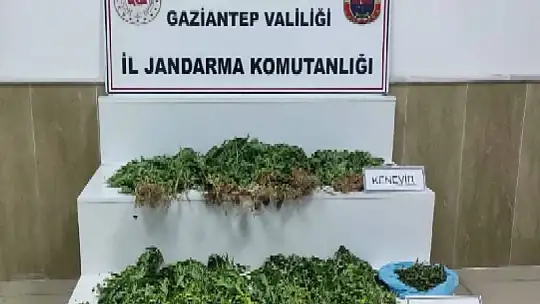 Jandarmadan uyuşturucu ve kaçakçılık operasyonu: 6 şahıs tutuklandı