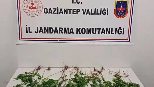 Jandarmadan uyuşturucu ve kaçakçılık operasyonu: 1 şahıs tutuklandı