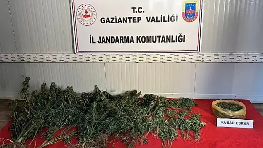 Jandarmadan uyuşturucu ve kaçakçılık operasyonu: 1 şahıs tutuklandı