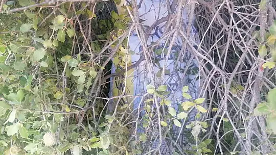 Jandarmadan uyuşturucu ve tarihi eser operasyonu