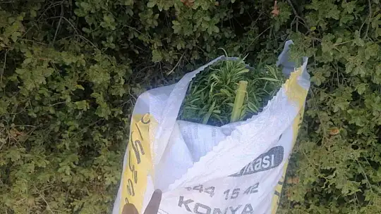 Jandarmadan uyuşturucu ve tarihi eser operasyonu
