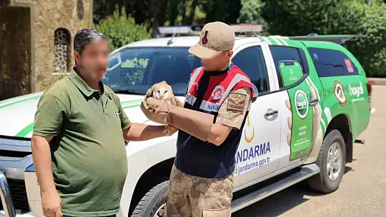 Jandarmadan yaralı yırtıcı kuşlara şefkat eli