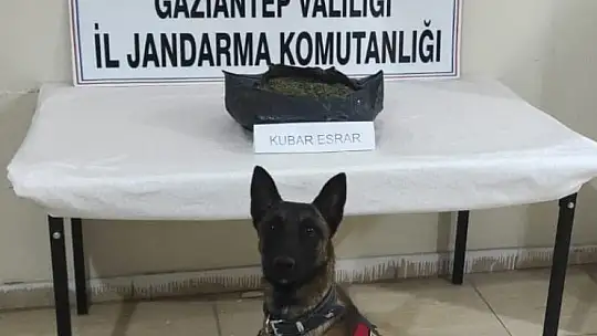 Jandarmadan yılbaşı öncesi sahte alkol operasyonu