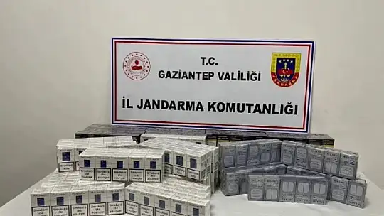 Jandarmanın 3 aylık uygulamalarında aranan 3 bin 458 kişi yakalandı