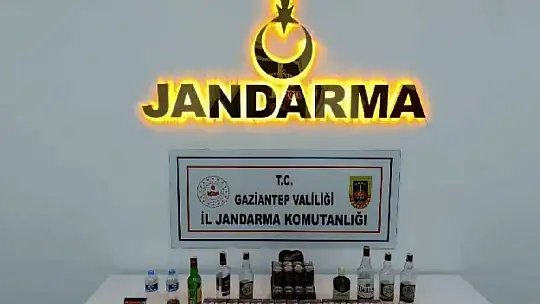 Jandarmanın 3 aylık uygulamalarında aranan 3 bin 458 kişi yakalandı