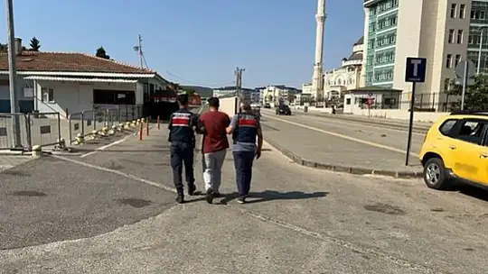Jandarmanın yakaladığı 19 hırsızlık şüphelisi tutuklandı
