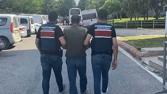 Jandarmanın yakaladığı 19 hırsızlık şüphelisi tutuklandı