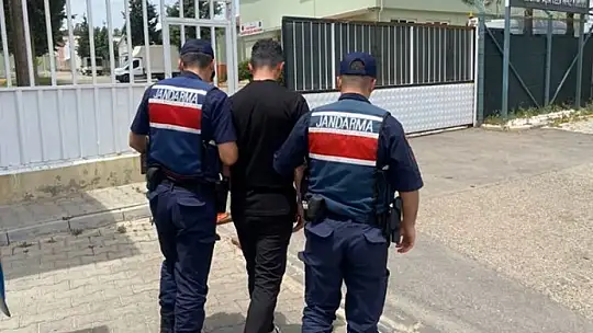 Jandarmanın yakaladığı 19 hırsızlık şüphelisi tutuklandı