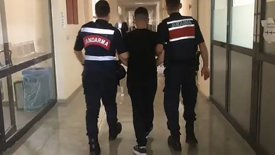 Jandarmanın yakaladığı 19 hırsızlık şüphelisi tutuklandı