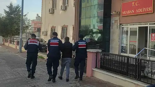 Jandarmanın yakaladığı hırsızlık şüphelisi 18 şahıs tutuklandı