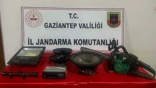 Jandarmanın yakaladığı hırsızlık şüphelisi 18 şahıs tutuklandı