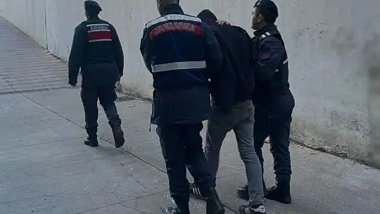 Jandarmanın yakaladığı hırsızlık şüphelisi 14 şahıstan 9'u tutuklandı