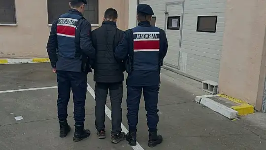 Jandarmanın yakaladığı hırsızlık şüphelisi 14 şahıstan 9'u tutuklandı