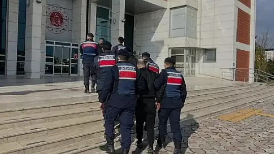 Jandarmanın yakaladığı hırsızlık şüphelisi 14 şahıstan 9'u tutuklandı