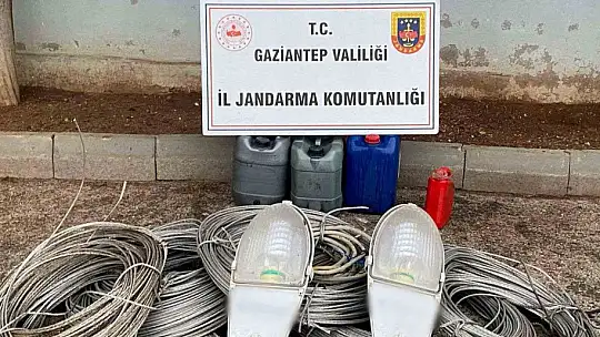 Jandarmanın yakaladığı hırsızlık şüphelisi 14 şahıstan 9'u tutuklandı