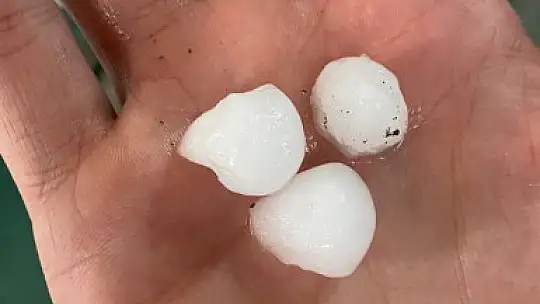 Kaçacak delik aradılar
