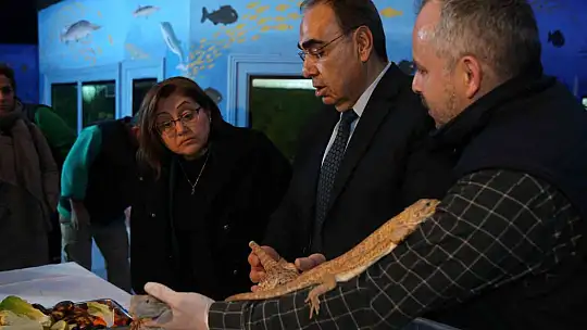 Kaçak yollarla yurda sokulan 108 hayvanın yeni yuvası Gaziantep oldu