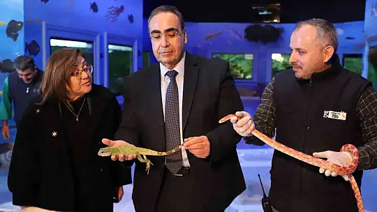 Kaçak yollarla yurda sokulan 108 hayvanın yeni yuvası Gaziantep oldu