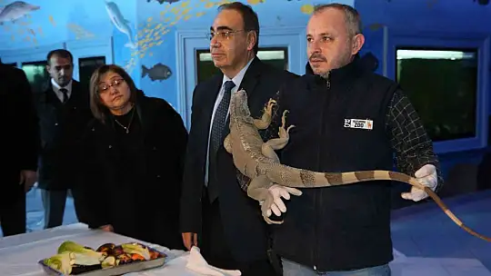 Kaçak yollarla yurda sokulan 108 hayvanın yeni yuvası Gaziantep oldu