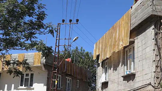 Kadınların bastık mesaisi