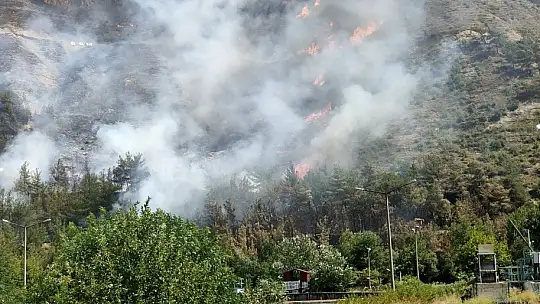 Karabük'te aynı alanda 2 orman yangını çıktı