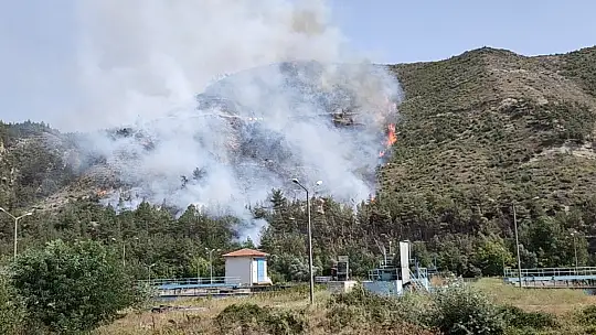 Karabük'te aynı alanda 2 orman yangını çıktı