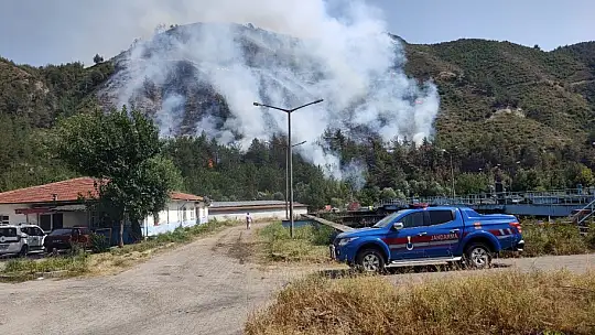 Karabük'te aynı alanda 2 orman yangını çıktı