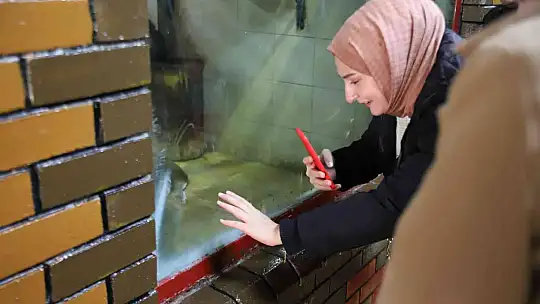 Karneyi alan hayvanat bahçesine koştu