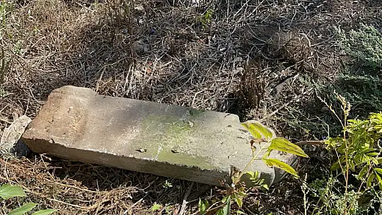 Karton toplayıcısı tarlada Osmanlı eserleri buldu
