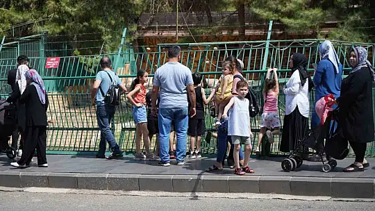 Kavurucu sıcaklarda hayvanlar buzlu kokteyl ile serinliyor