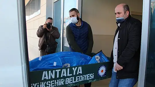 Kayıp olarak aranan gencin cesedi ormanlık alanda gömülü halde bulundu