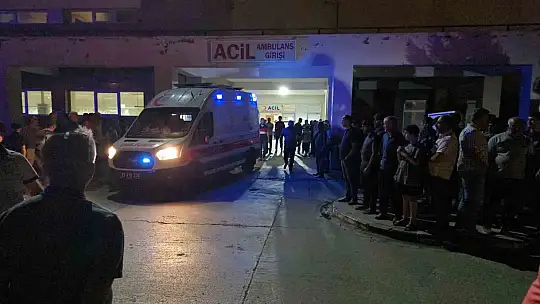 Kazada savrulan ineğe başka bir araç daha çarptı: 1'i ağır 3 yaralı