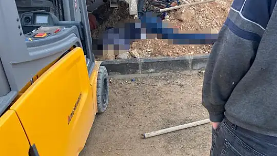 Köpeklere çarpmamak için manevra yapan işçi servisi faciaya neden oldu: 2 ölü, 3 yaralı