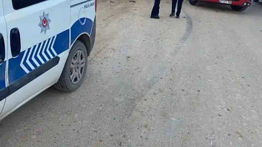 Köpeklere çarpmamak için manevra yapan işçi servisi faciaya neden oldu: 2 ölü, 3 yaralı