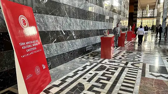 Kültürel Miras Enstitüsü, vakıf olarak hizmet verebilecek
