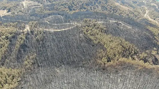 Manavgat 9 günlük yangın sonrası havadan görüntülendi