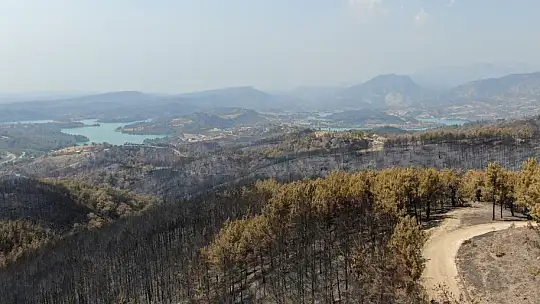 Manavgat 9 günlük yangın sonrası havadan görüntülendi