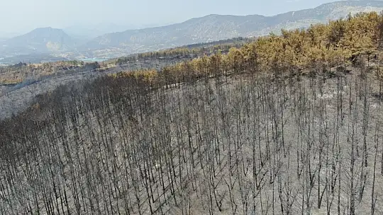 Manavgat 9 günlük yangın sonrası havadan görüntülendi