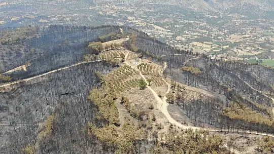 Manavgat 9 günlük yangın sonrası havadan görüntülendi
