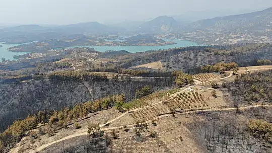Manavgat 9 günlük yangın sonrası havadan görüntülendi