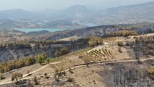 Manavgat 9 günlük yangın sonrası havadan görüntülendi
