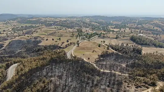 Manavgat 9 günlük yangın sonrası havadan görüntülendi