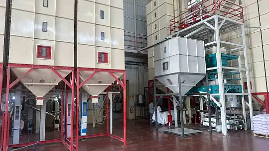 Mercimek Güneydoğu'nun ekonomisine katkı sunuyor