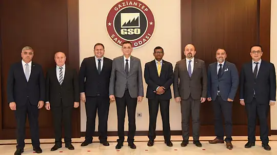 Mersin Limanı'nda kalıcı çözüm için GSO ve MIP birlikte çalışacak
