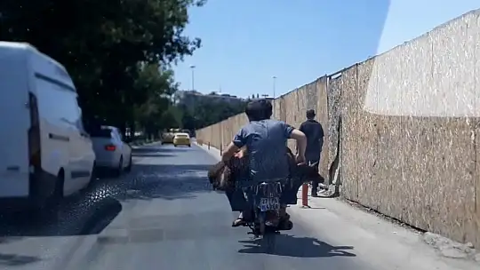 Motosiklete iki kişi ve bir koyun bindiler
