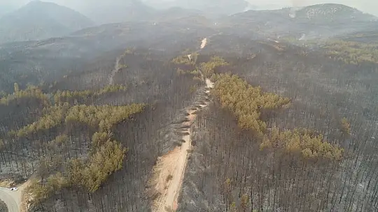 Muğla'da ormanlar alev alev yandı, tahribat gün aydınlanınca ortaya çıktı